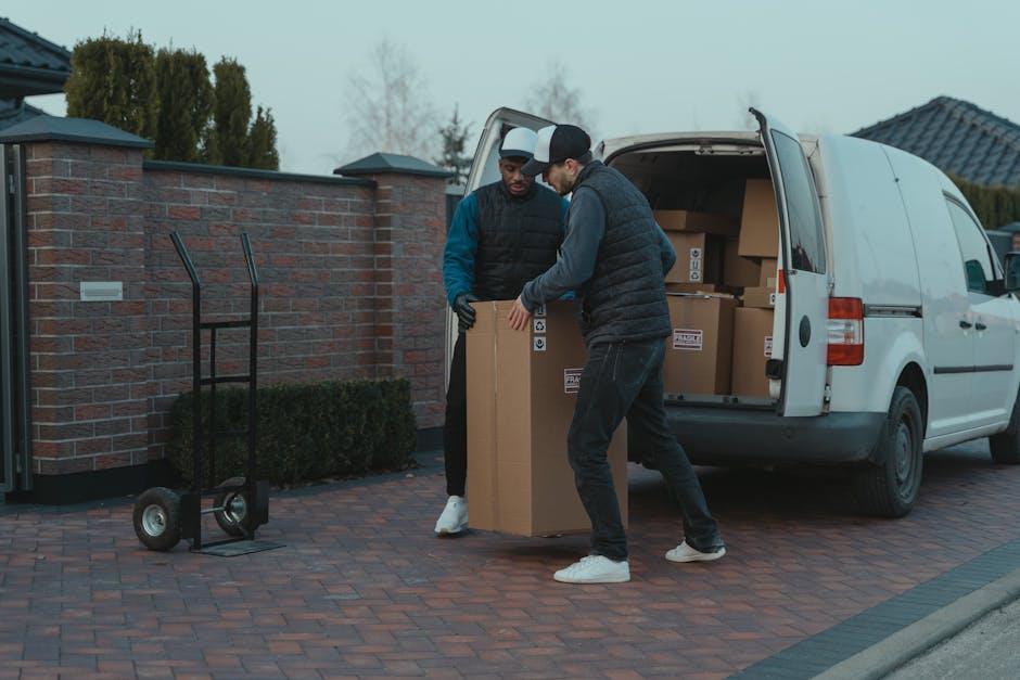 A young man with a serious expression, wearing a white polo shirt and a black baseball cap, stands inside the open back of a moving van filled with stacked cardboard boxes. The boxes vary in size and are packed tightly, some wrapped in plastic film for protection. The van's interior is illuminated by natural light, revealing the arrangement of the packing materials and the loading process for home relocation. The man, representing a professional removals service, is positioned in front of the boxes with his arms crossed, indicating readiness to assist with furniture transport and packing during a house move. The scene is set outdoors on a paved area, with the metal sides of the van visible on either side, emphasizing the logistics involved in house removals as part of a professional house and furniture moving service provided by Ilford Man and Van. This image captures the essentials of packing and loading during a same-day house move, aligning with the services offered for efficient home relocations in Seven Kings and surrounding areas.