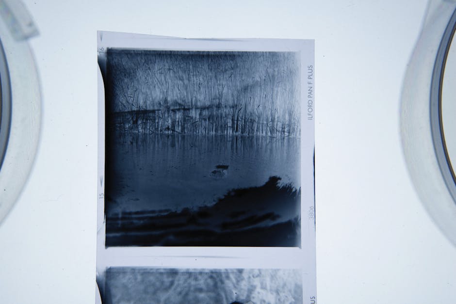 A black and white photographic print depicting a body of water with a small boat floating on the surface, surrounded by leafless trees along the shoreline, and a cloudy sky overhead. The print is posi